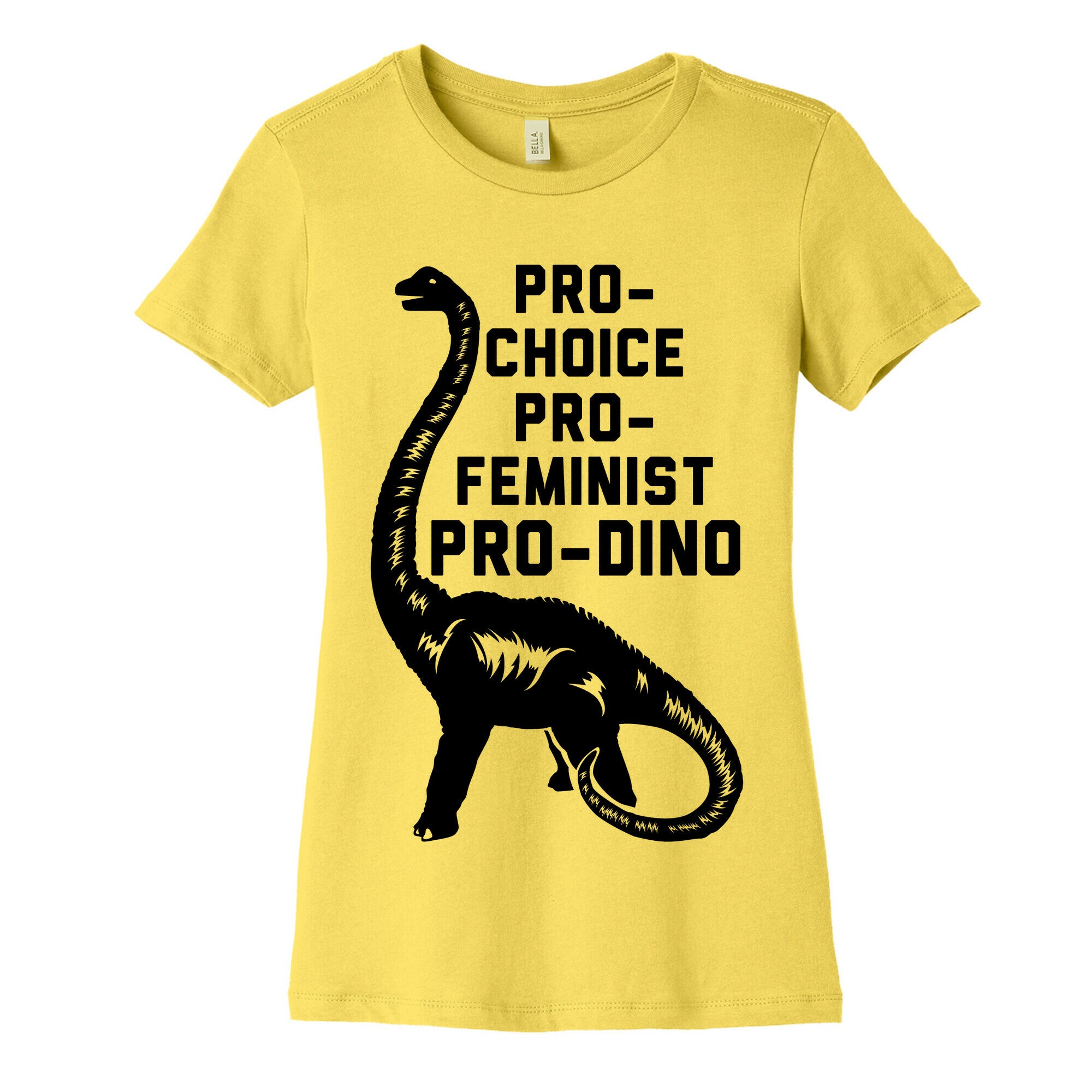 Pro-Choice Pro-Feminist Pro-Dino Women's Cotton Tee